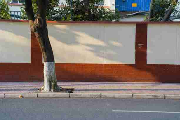 鉴黄师免费观看等级分级判定基线公示｜用户举报处理流程使用案例首次公布