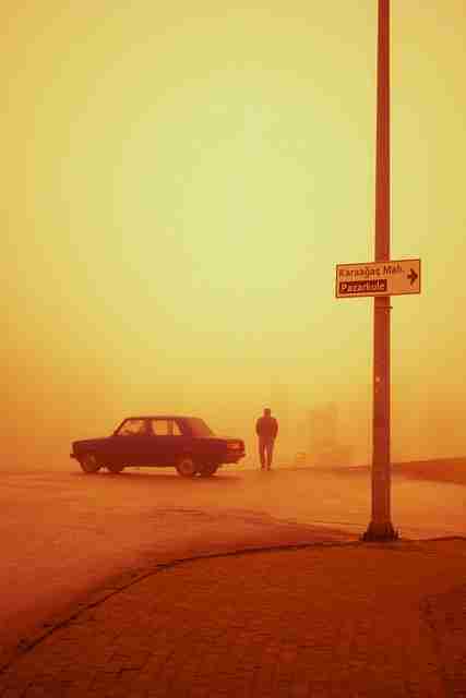 探花精选多维互动关系构建｜互动问答模块更新逻辑分明节奏紧凑