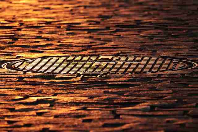 探花视频app用户参与度调查结果｜拍摄任务设定机制得分持续上升