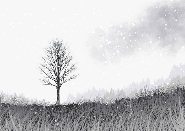 探花精选节目录制技术革新｜风格转换测试剪辑视角体验倍感沉浸