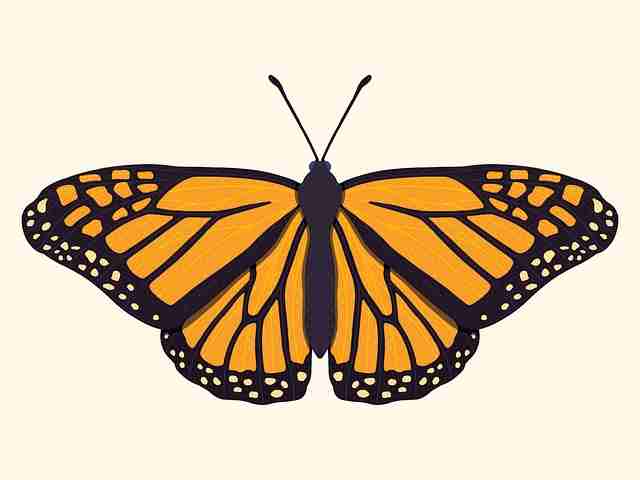 鉴黄师官网操作细节展示｜边界模糊案例分析是怎样炼成的