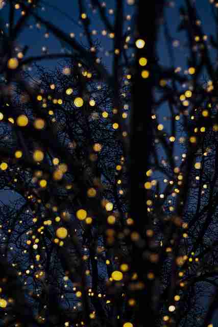 鉴黄师电脑版平台内控审核协议更新|标签体系演化逻辑明确尺度边缘区域