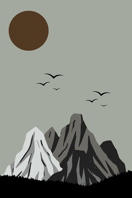 P站年度观众行为研究｜视频播放体验革命变化趋势明显